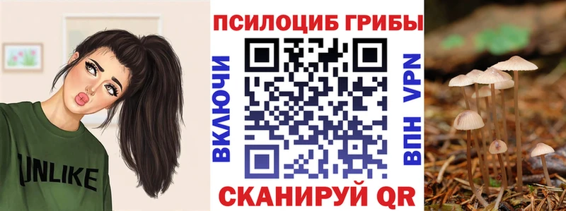 Галлюциногенные грибы Cubensis  Жердевка 